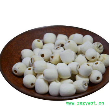 白莲子干货去芯 磨皮白莲子产地批发新鲜寸三莲 散装莲子百合茶图3