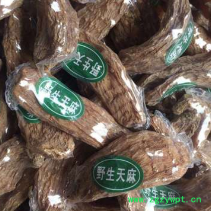 批发天麻个 中药材天麻片 各种规格量大从优 产地直供天麻片 天麻图2