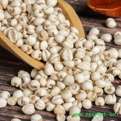 中药材批发贝母 川贝母 平贝母 干净无杂多规格散装贝母 承接订单图2