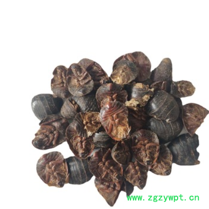 源宇堂 土元 500g1000g批发 中药材土元 安徽亳州图3