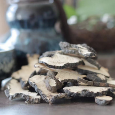 中药材猪苓代磨粉 安徽亳州猪苓批发