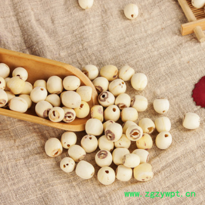 大货批发产地直销莲子新货各种规格产地货源量大从优大货可批