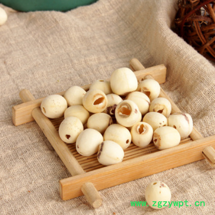 大货批发产地直销莲子新货各种规格产地货源量大从优大货可批图2