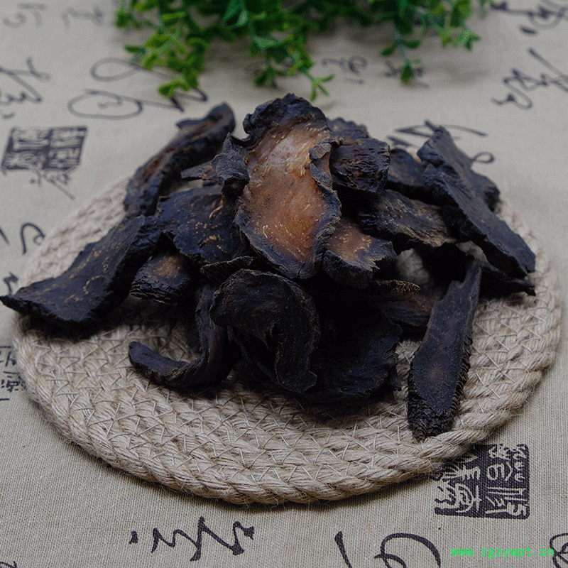 内蒙肉苁蓉油苁蓉