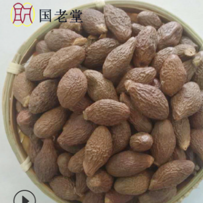 批发中药材胖大海 新货胖大海茶 产地直销