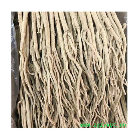 批发甘肃党参 优良党参 党参节 产地货源 量大从优图2