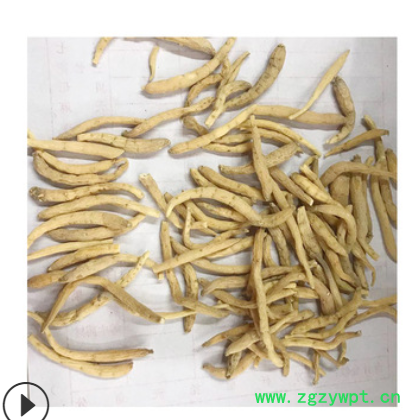 产地批发太子参 孩儿参 无硫足干太子参图2