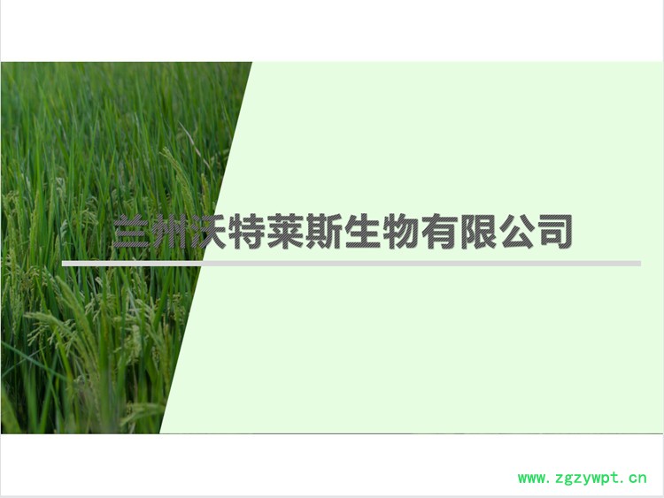 91ca0e4dc26efc9c8e0f6afb450c385.jpg 91ca0e4dc26efc9c8e0f6afb450c385.jpg