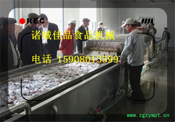 大枣清洗流水线4