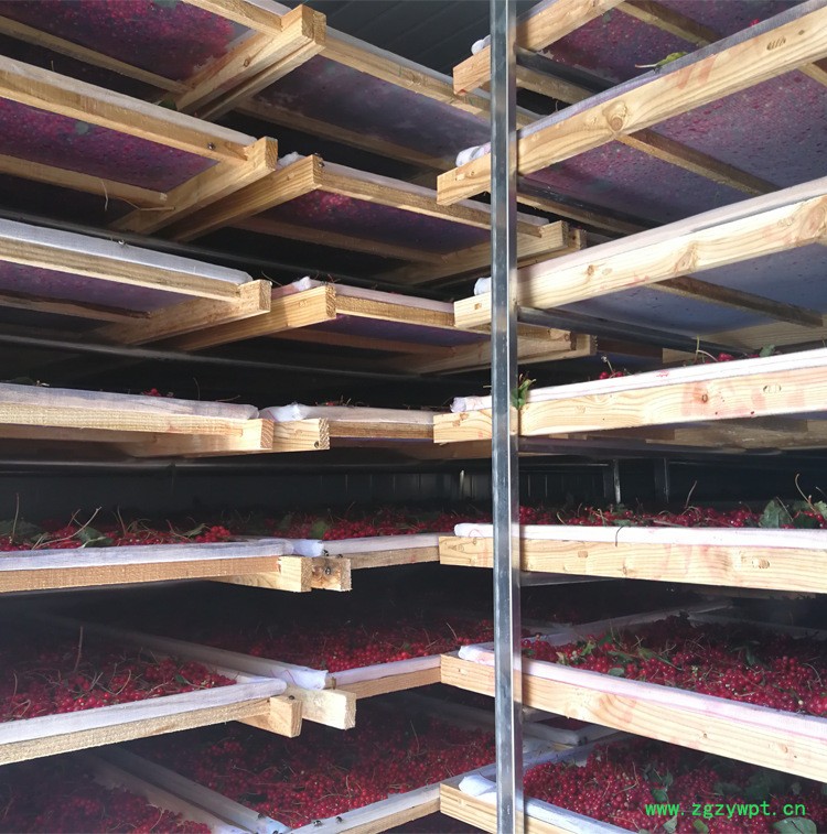 北方五味子价格**五味子树中药材批发五味子