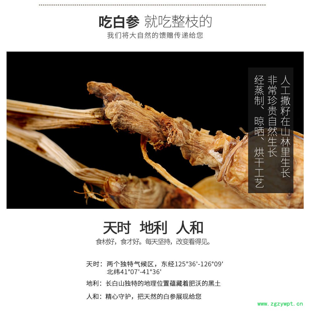 灵芝山参泡酒移山参下林下参