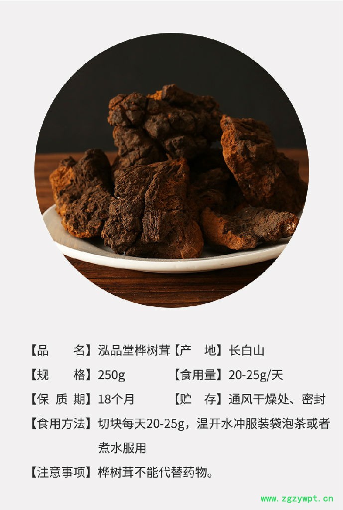 桦树茸俄罗斯,俄罗斯白桦茸价格,桦褐孔菌