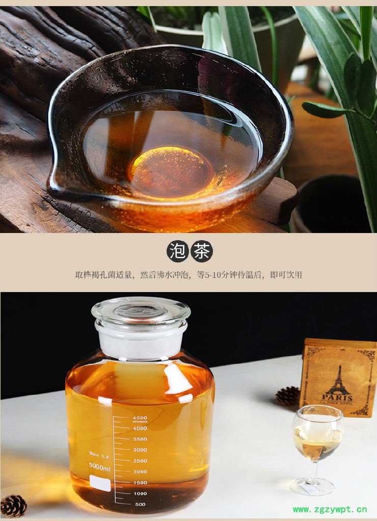 桦树茸俄罗斯,俄罗斯白桦茸价格,桦褐孔菌