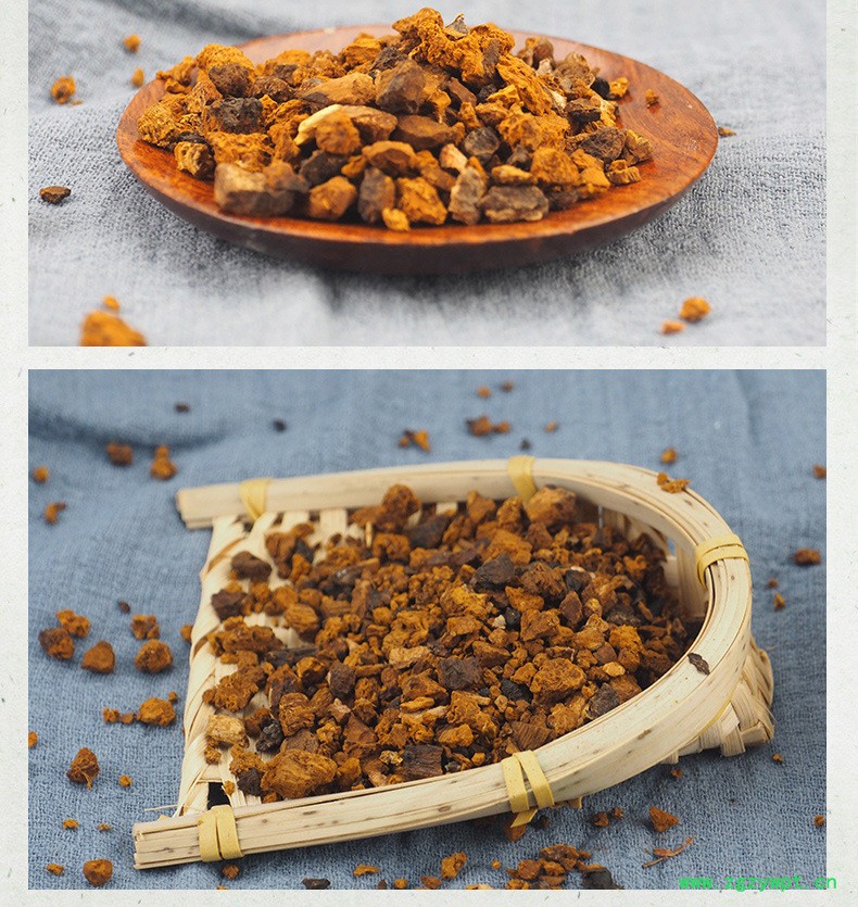 桦树茸俄罗斯,俄罗斯白桦茸价格,桦褐孔菌