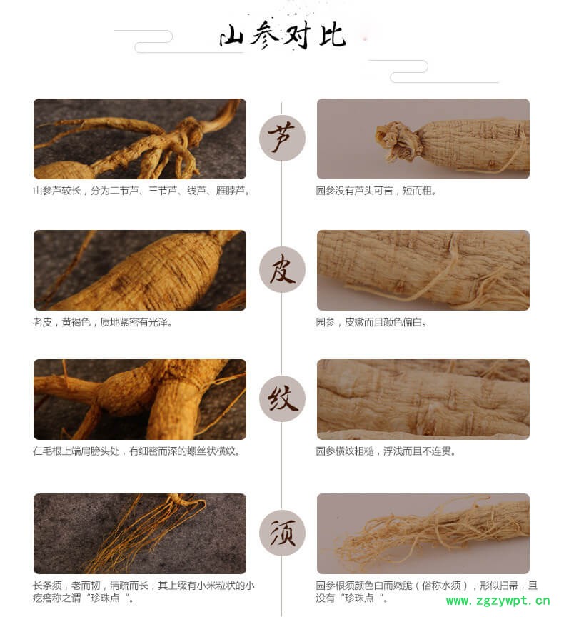 灵芝山参泡酒移山参野山参人参泡酒