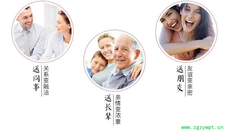 灵芝山参泡酒移山参野山参人参泡酒