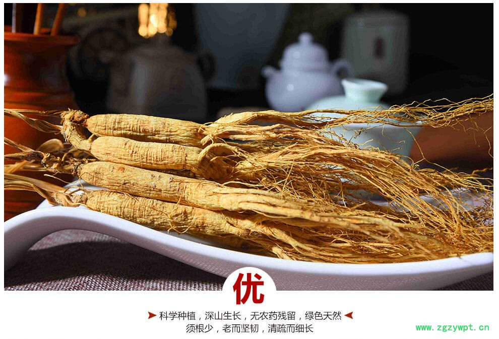 灵芝山参泡酒移山参野山参人参泡酒