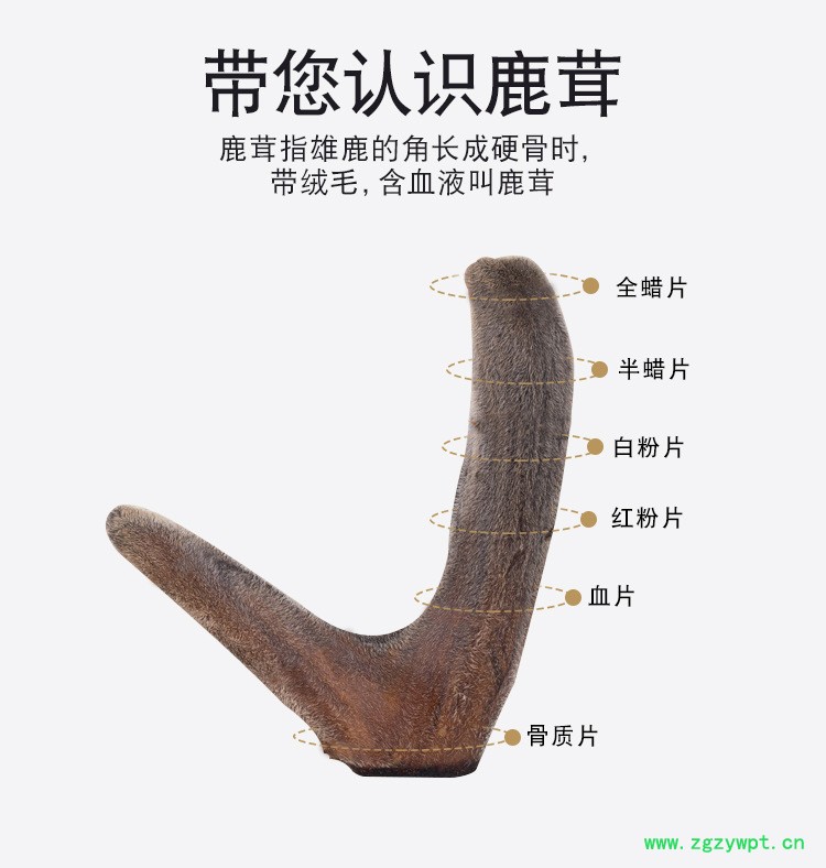 东北正宗鹿茸价格灵芝人参鹿茸泡酒