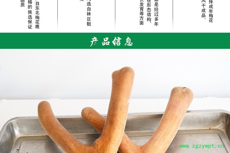 正宗鹿茸一件灵芝人参鹿茸泡酒