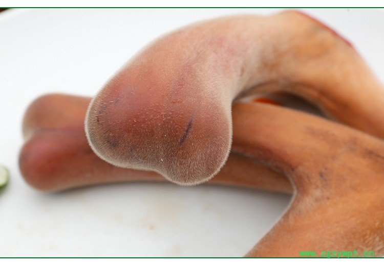 正宗鹿茸一件灵芝人参鹿茸泡酒