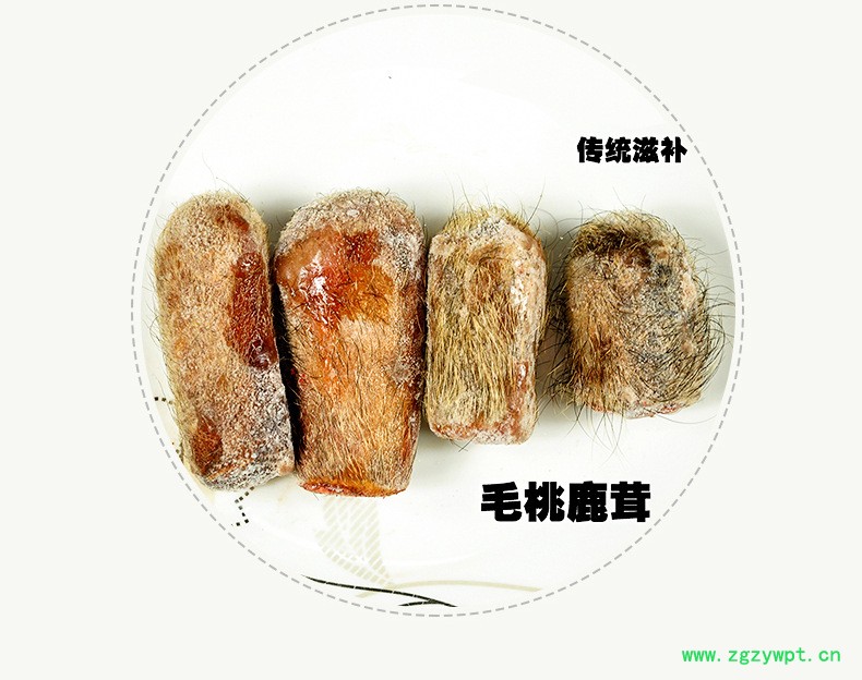 正宗鹿茸一件灵芝人参鹿茸泡酒