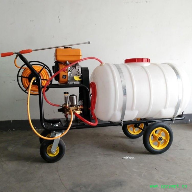 打药施肥机 家用打药机 农田打药车现做现发