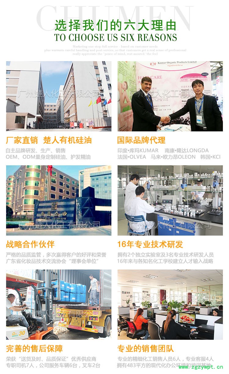 选择我们(楚人化工)的六大理由 选择我们的六大理由 设计模板