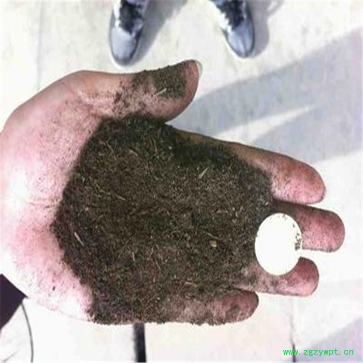 有机肥发酵罐 槽式翻堆机 官网