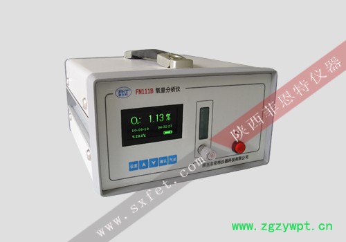 FN111B氧量分析仪.jpg