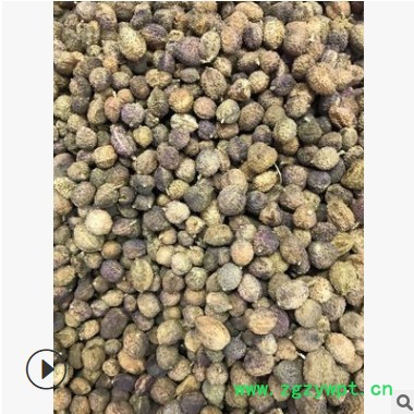 林中森中药材厂家产地货源散装云南砂仁阳春砂亳州中药材