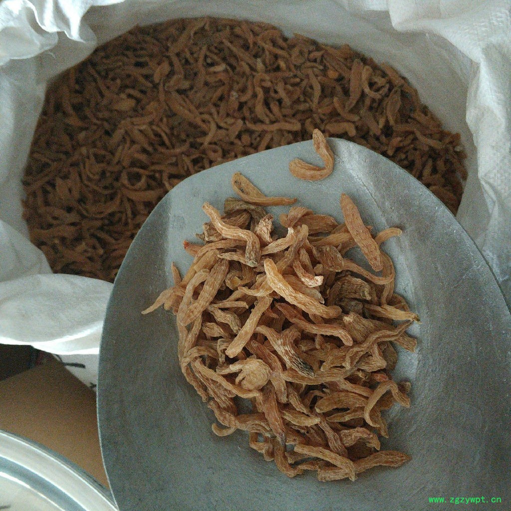 乌鸡虫草花炖天麻**小天麻多钱