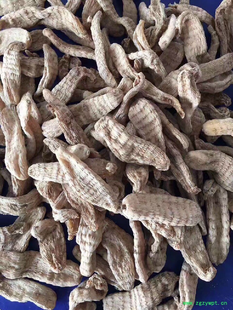 乌鸡虫草花炖天麻**小天麻多钱