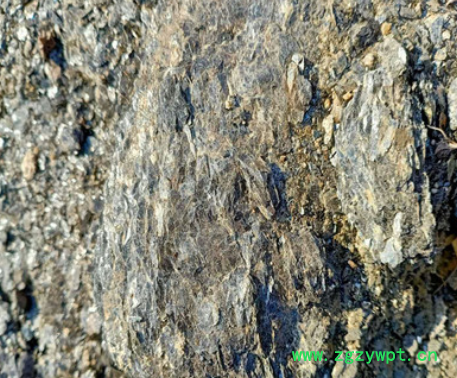 厂家供应矿石中药材青礞石图2