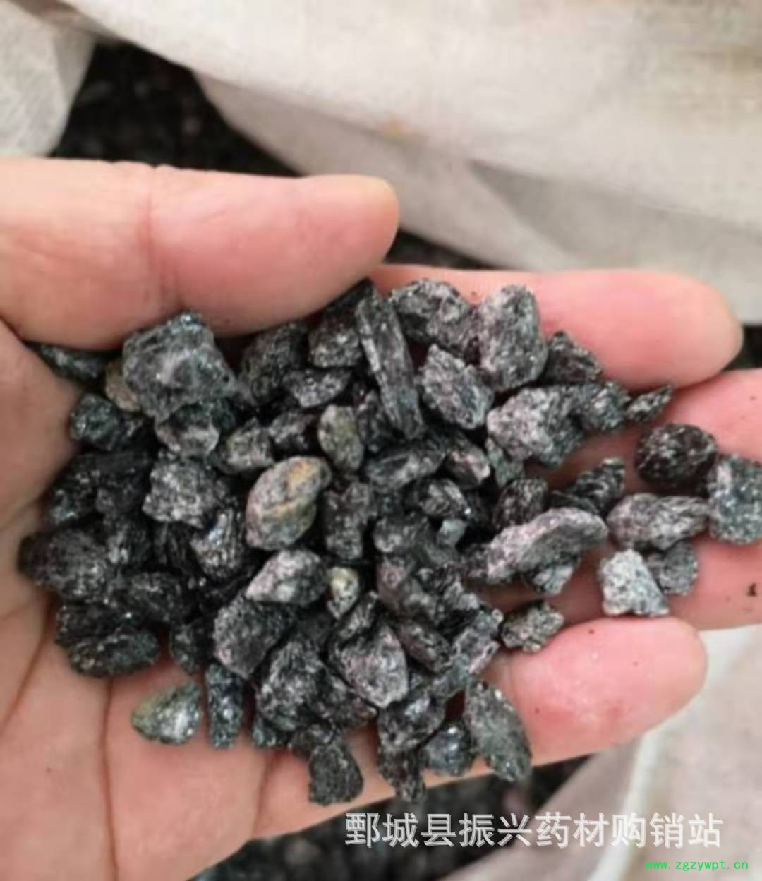 微信图片_20130104003704