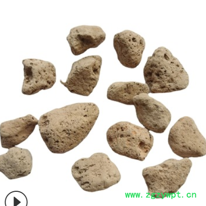 【紫轩堂】海浮石500g新货上市量大从优实物拍摄中药材批发海浮石图3