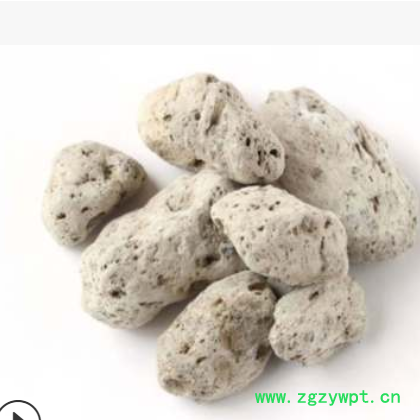 振兴药材批发供应供应海浮石 浮海石 产地批发图2