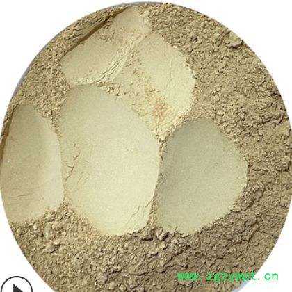 批发中药材 密陀僧粉 金炉底粉 密陀僧 金炉底 实物拍摄图3