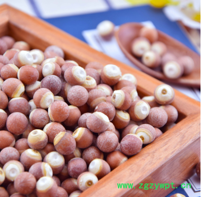 灏运堂中药材批发 芡实 芡实五谷杂粮熟芡实可打粉厂家直发图3