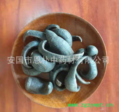 中药材安国干水蛭500克生宽体水蛭粉 金边蚂蝗金线蛭另有炮制水蛭图3