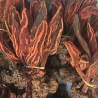 中药材 回春草 泡酒料回心草顶天柱草苁蓉不老草 回春草颗粒打粉