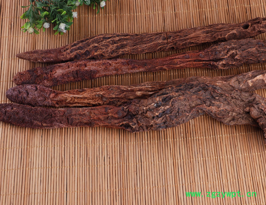 批发中药材 锁阳 金锁阳 锁阳片 整只锁阳泡酒料搭配肉苁蓉可代发图3