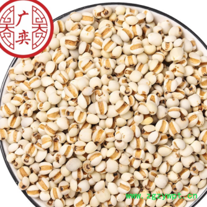 中药材批发 产地批发 现货批发五谷杂粮薏仁米 薏苡仁 薏米仁图3