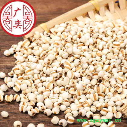 中药材批发 产地批发 现货批发五谷杂粮薏仁米 薏苡仁 薏米仁图2