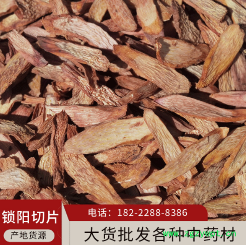 产地货源锁阳泡水泡酒料秋季金锁阳片内蒙古阿拉善锁阳鲜干片煲汤图3
