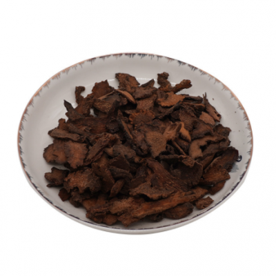 产地货源锁阳泡水泡酒料秋季金锁阳片内蒙古阿拉善锁阳鲜干片煲汤