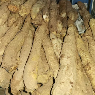 肉苁蓉 整根肉苁蓉泡酒料肉苁蓉片 可代发泡酒泡茶肉苁蓉