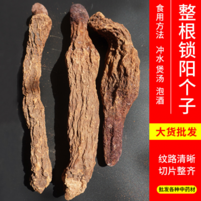 批发整根锁阳产地货源金锁阳内蒙古阿拉善锁阳泡酒药材泡茶煲汤