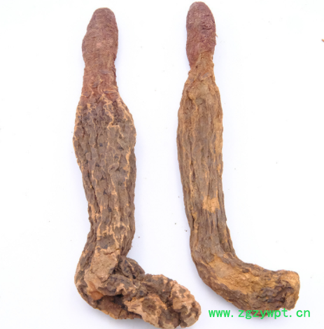 厂家货源锁阳泡水泡酒料金锁阳片肉苁蓉内蒙阿拉善锁阳鲜干片批发图2