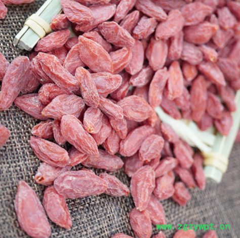 厂家供应 2021枸杞子散装 红枸杞干茶大颗粒 新货批发图2