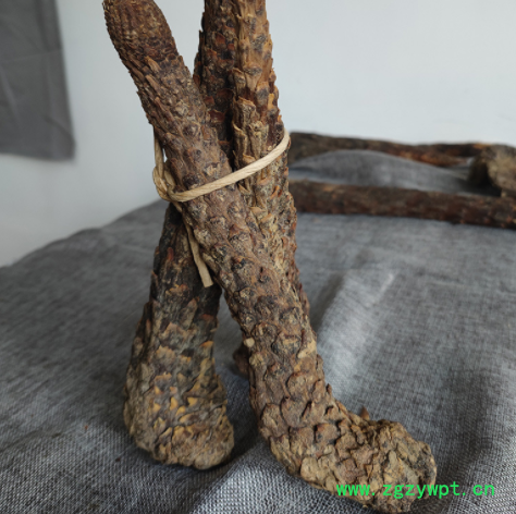 厂家批发 新疆肉苁蓉规格齐全可切片新疆油苁蓉批发销售大货批发图3